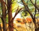 11-x-15-autumn-tree