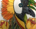 Colorful bird copy